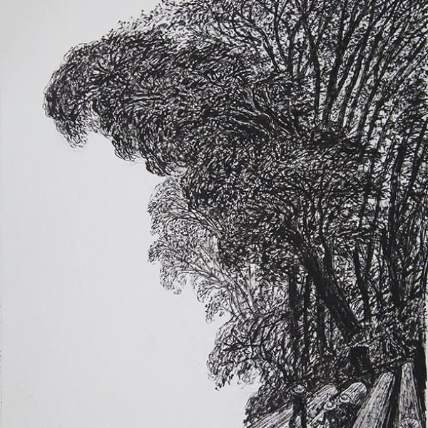 Un desgarrador estrépito en el bosque